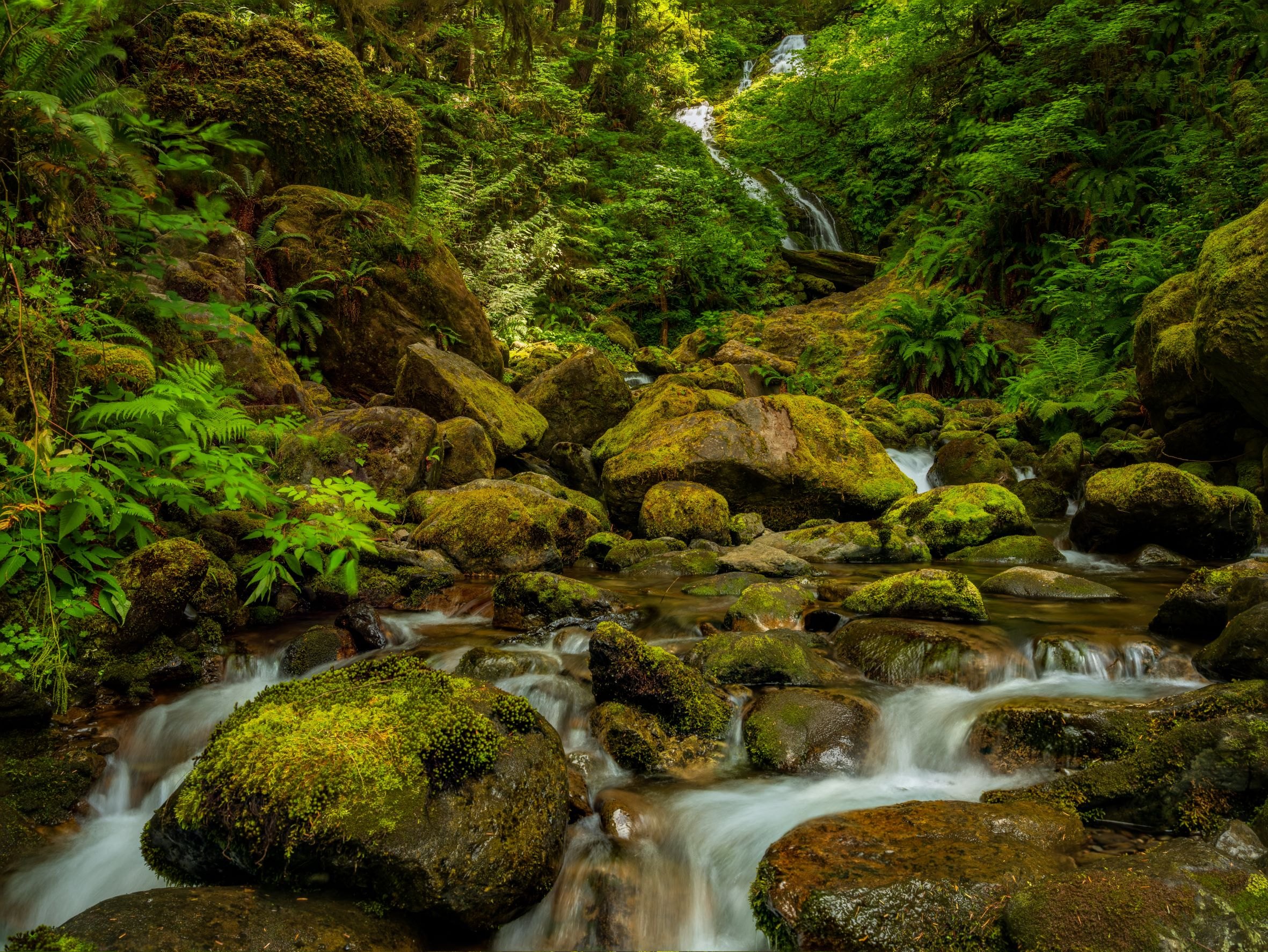 Moss Cascade — Olympic National Park, Washington